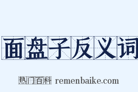 面盘子反义词是什么意思的图片